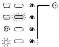 2h, 4h, 6h, 9h