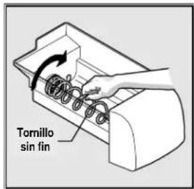 Tornillo sin fin