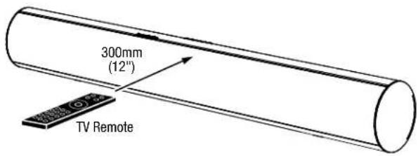 300mm (12") TV Remote