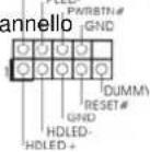 ASROCK 985GM-GS3 FX - Connettore del panello Questo connettore accoglie - 1