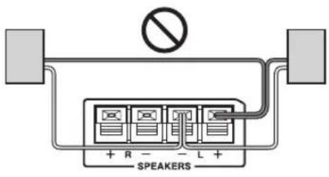 SPEAKERS + R - - L +
