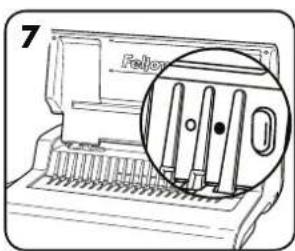 7 Felix