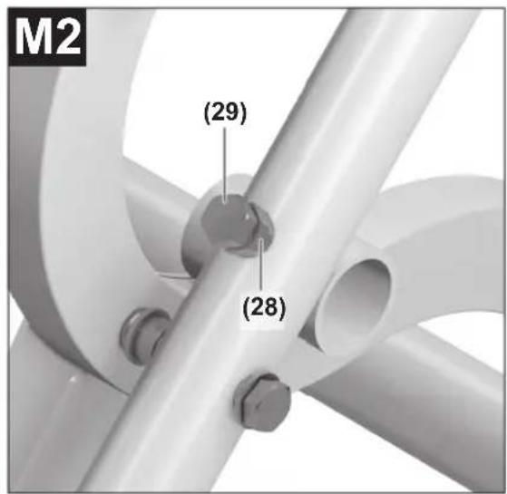 M2 (29) (28)