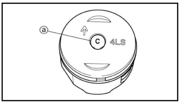 a C 4LS