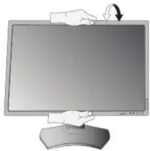 NEC MultiSync P212 - Élévation et abaissement de l'écran du moniteur - 3