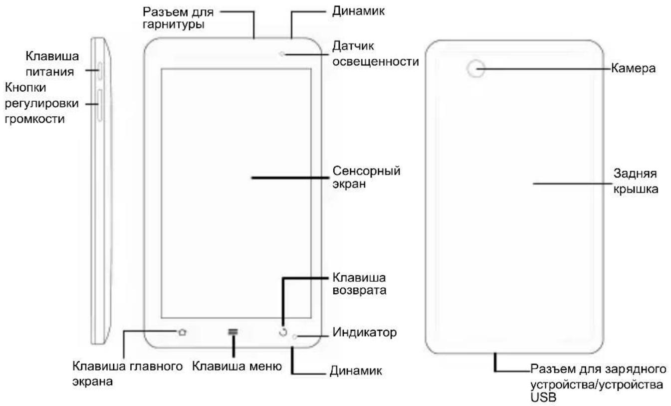 Клавиша питания Кнопки регулировки громкости Разъем для гарнитуры Динамик Датчик освещенности Сенсорный экран Клавиша возврата Индикатор Клавиша главного экрана Клавиша меню Динамик Клапиша камера Задняя крышка Разъем для зарядного устройства/устройства USB