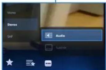 Mono Stereo SAP Audio Google