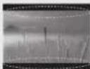 LG 60LB580V - PRECAUCIÓN - 30
