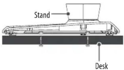 Stand Desk