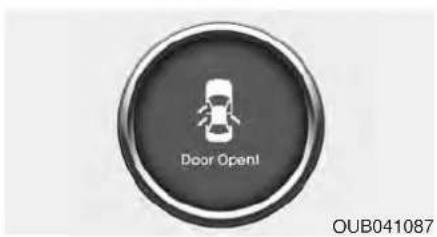 Door Open OUB041087