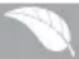 BRANDT BWT 6310 E - UMWELT - 1