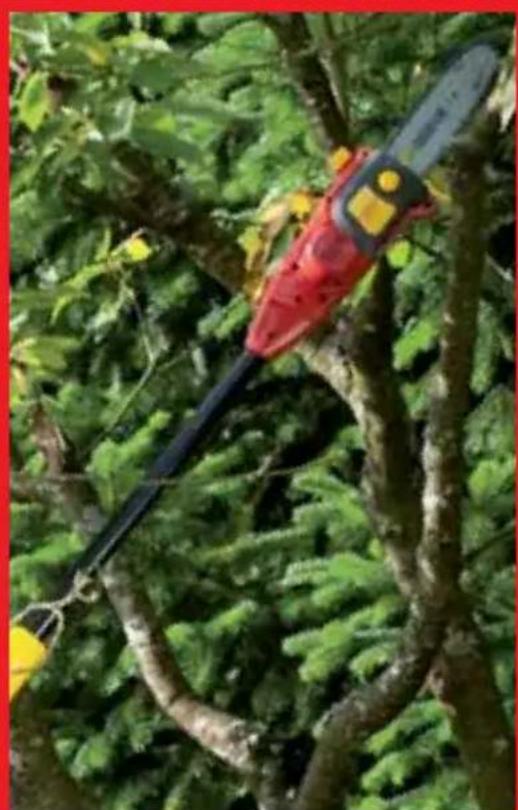 Close-up of a red and black hairpin cutting through dense green fern branches (no text or symbols visible)