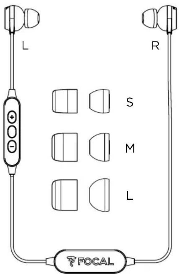 L R S M L FOCAL