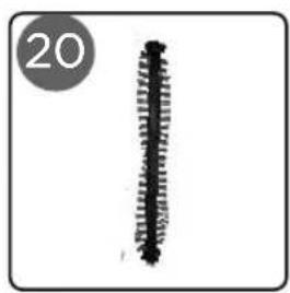 POLTI Forzaspira SR 25.9 Plus - 24