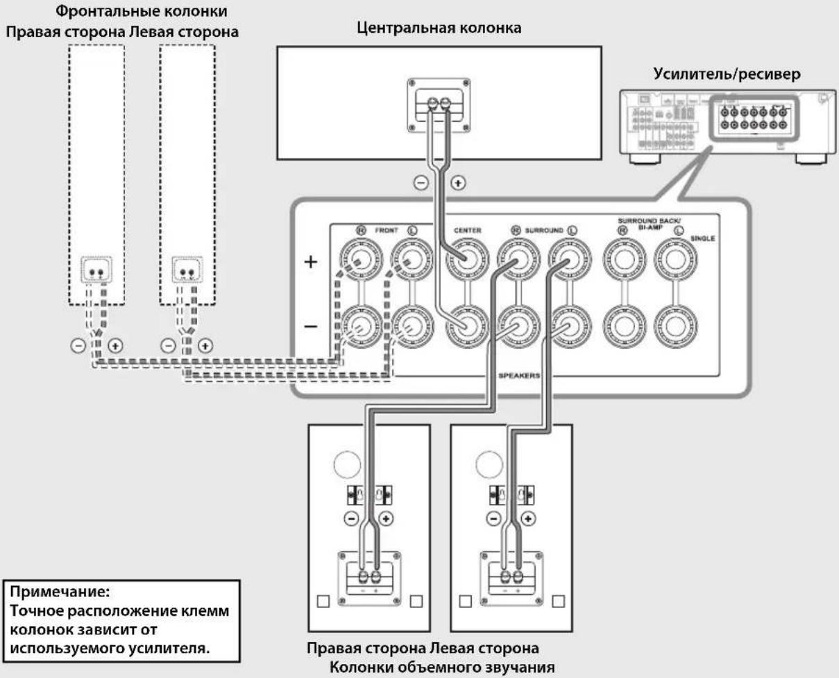 Фронтальные колонки Правая сторона Левая сторона Центральная колонка Усилитель/ресивер + - FRONT CENTER SURROUND SURROUND BACK/ BI-AMP SPEAKERS Правая сторона Левая сторона Колонки объемного звучания Примечание: Точное расположение клемм колонок зависит от используемого усилителя.