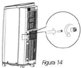 Figura 14