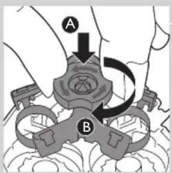 A B