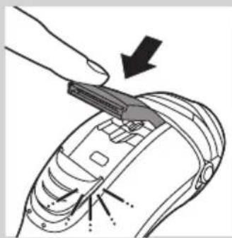 PHILIPS Series 5000 PowerTouch PT937 - Trimming - 2