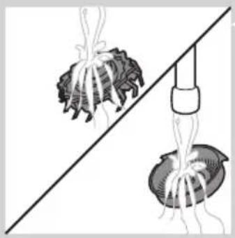 PHILIPS Series 5000 PowerTouch PT937 - Pulizia del rasoio sotto l'acqua corrente - 7