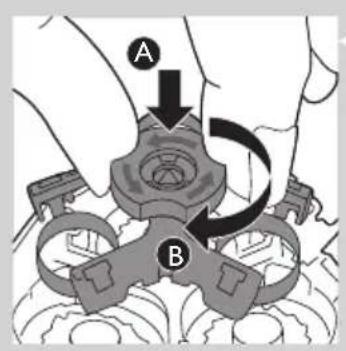 A B