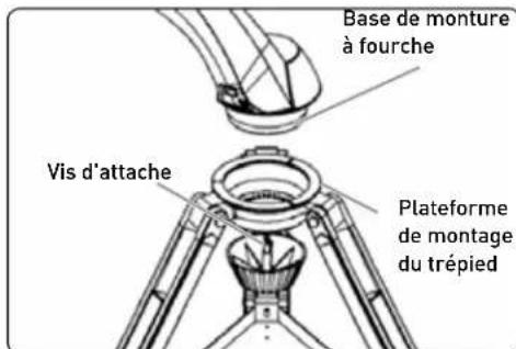 Base de monture à fourche Vis d'attache Plateforme de montage du trépied