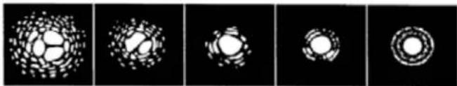 CELESTRON SkyProdigy 70 - Voir - 1