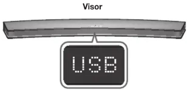 Visor USB