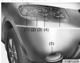 (1) (2) (3) (4) (5) OCM055020