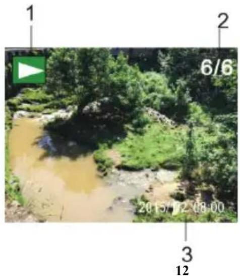 Outdoor scene with a muddy stream surrounded by greenery, labeled with time and date (no readable text or symbols)