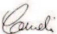 MCCULLOCH CSE1835 - Up - 1