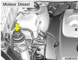 Moteur Diesel HJMS005