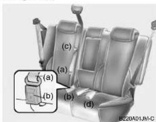 (a) (b) (c) (d) B220A01JM-C