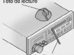 Fete de lecture Ade le vis concreatic