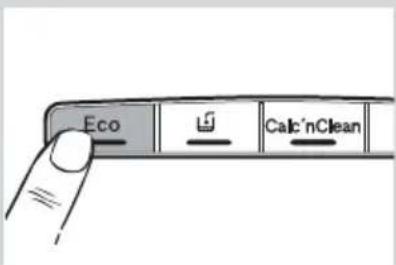 Eco Check Calculate Clean