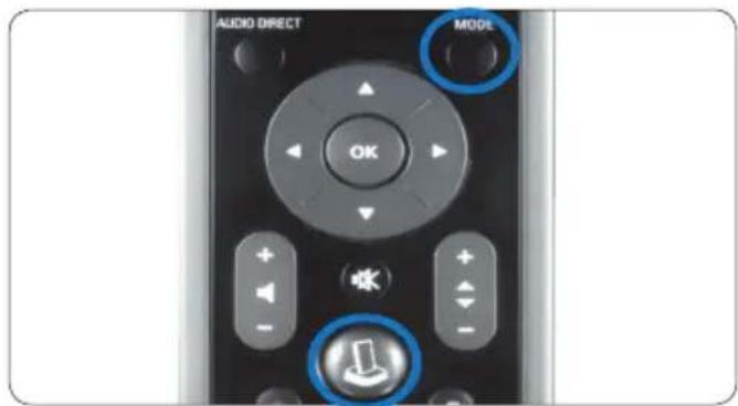 AUDIO DIRECT MOOL OK