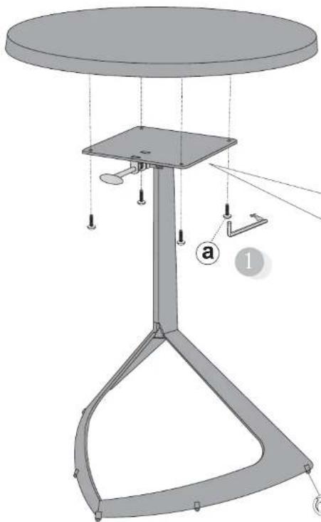 Calligaris .com Evolve CS/4052-A D60 - 5