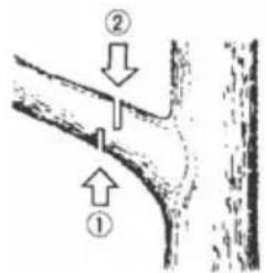 AL-KO BKS 4540 - Kvisting - 1