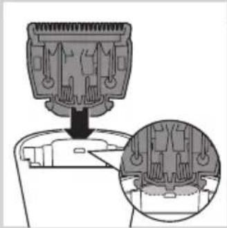 PHILIPS Series 3000 QT4005 - 清洁 - 2