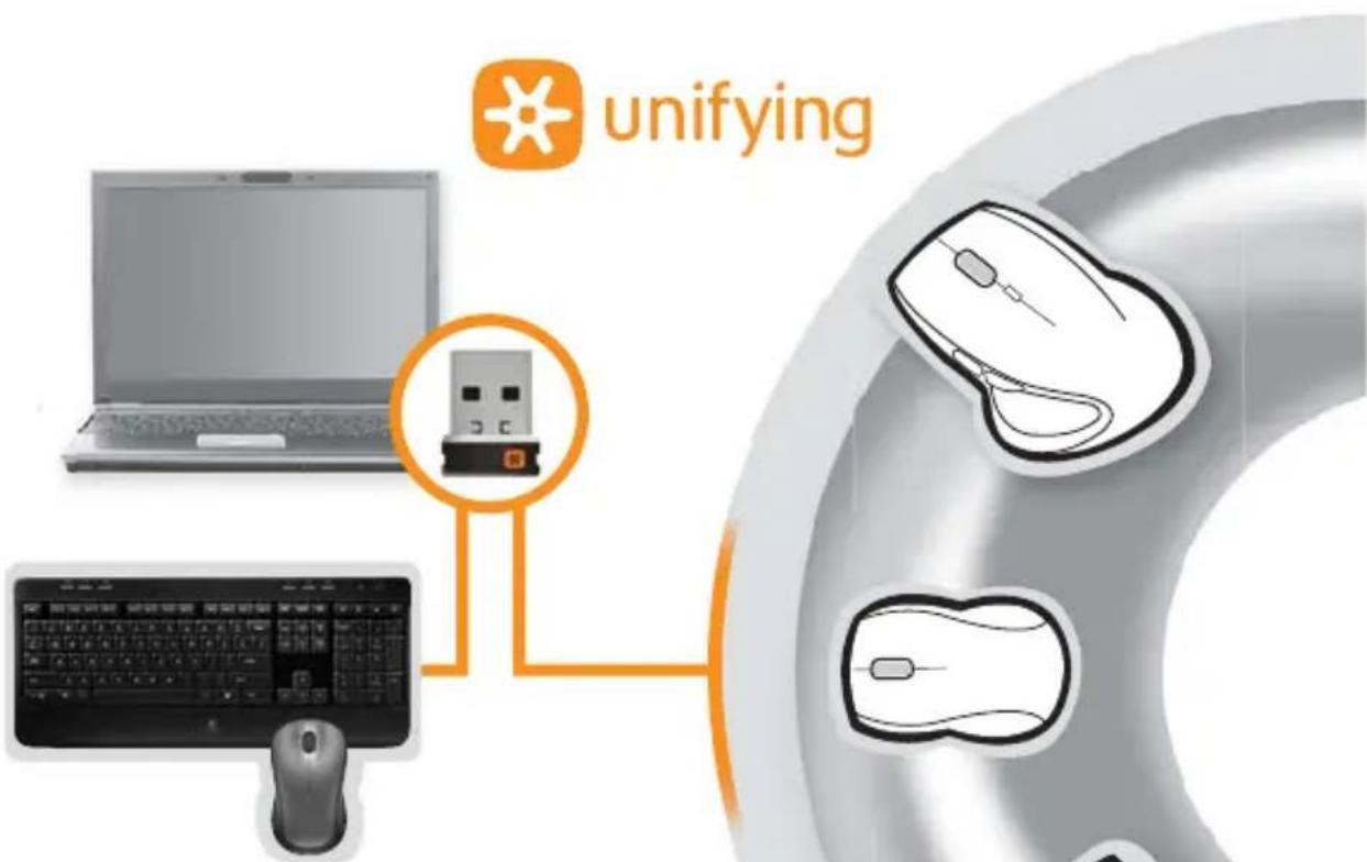 Unifying