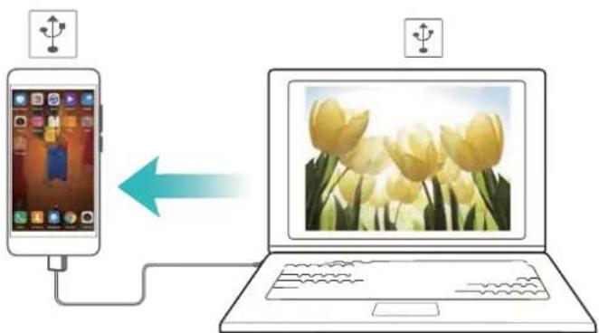 Diagram showing mobile app linking to laptop displaying tulips, with icons and text labels