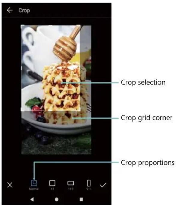 Crop Crop selection Crop grid corner Crop proportions Normal 1.1 16.9 9.5