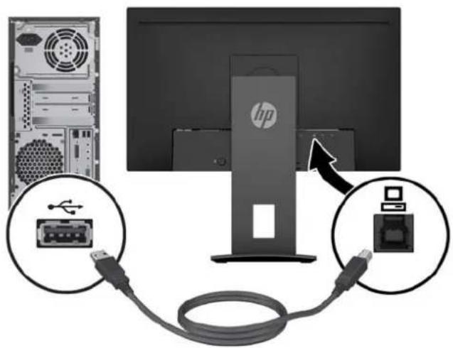 HP EliteDisplay E230t - Branchement des câbles - 7