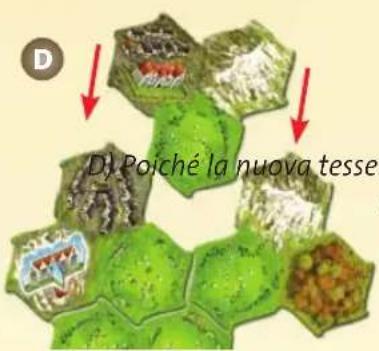 D) Poiché la nuova tesser