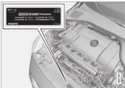 GATE EDGE PESSACH WARNING to Viat / increased its Viat / ####### to GATE PESSACH (Yes) VAT/SPD