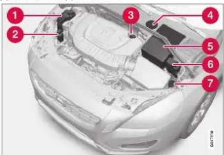 Labeled diagram of a car engine head with numbered components for identification