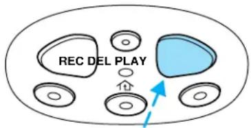 REC DEL PLAY