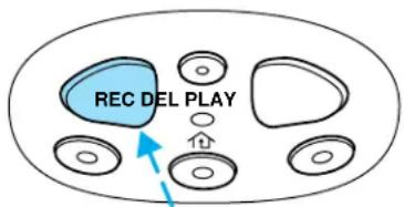 REC DEL PLAY