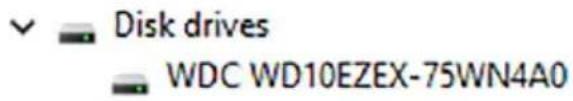 Disk drives WDC WD10EZEX-75WN4A0
