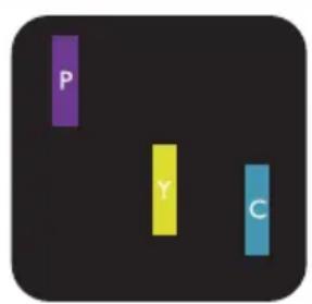 P Y C