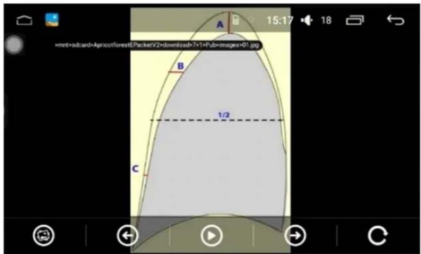 A 15:17 18 ×mnt×sdcard+Apricotforest&PacketV2=download+7×1×Pub=images+01.jpg B 1/2 C